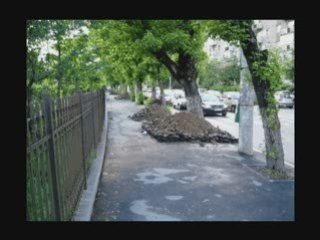 LUMINITA SOARE A: Celentano - Il Ragazzo Della Via Gluck 2