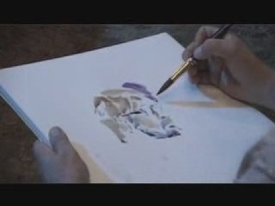 Pittoreporter