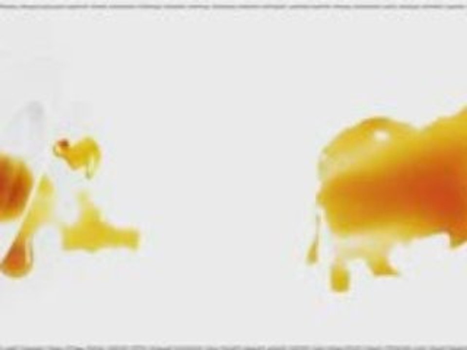 Animation publicitaire online flash