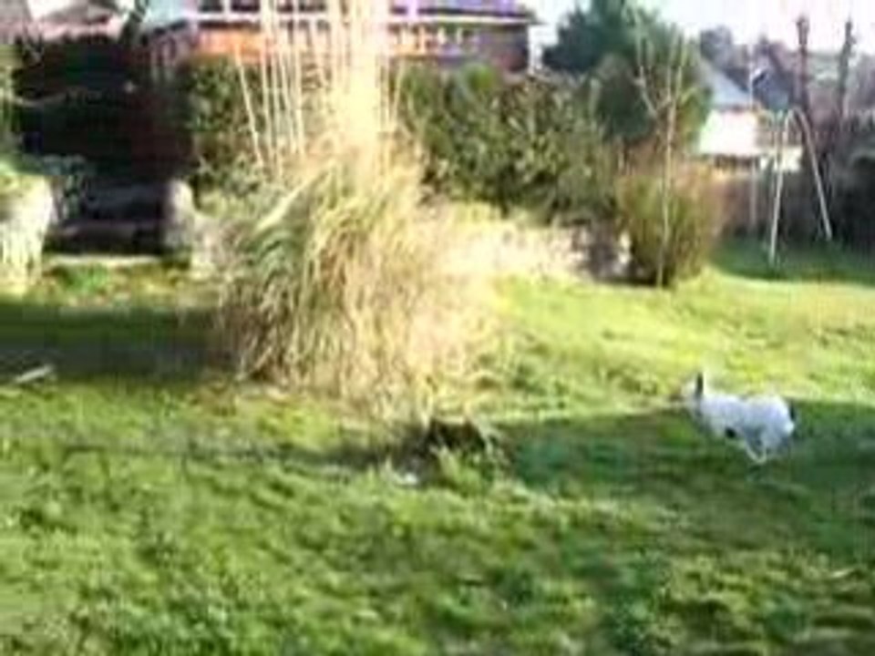 la course