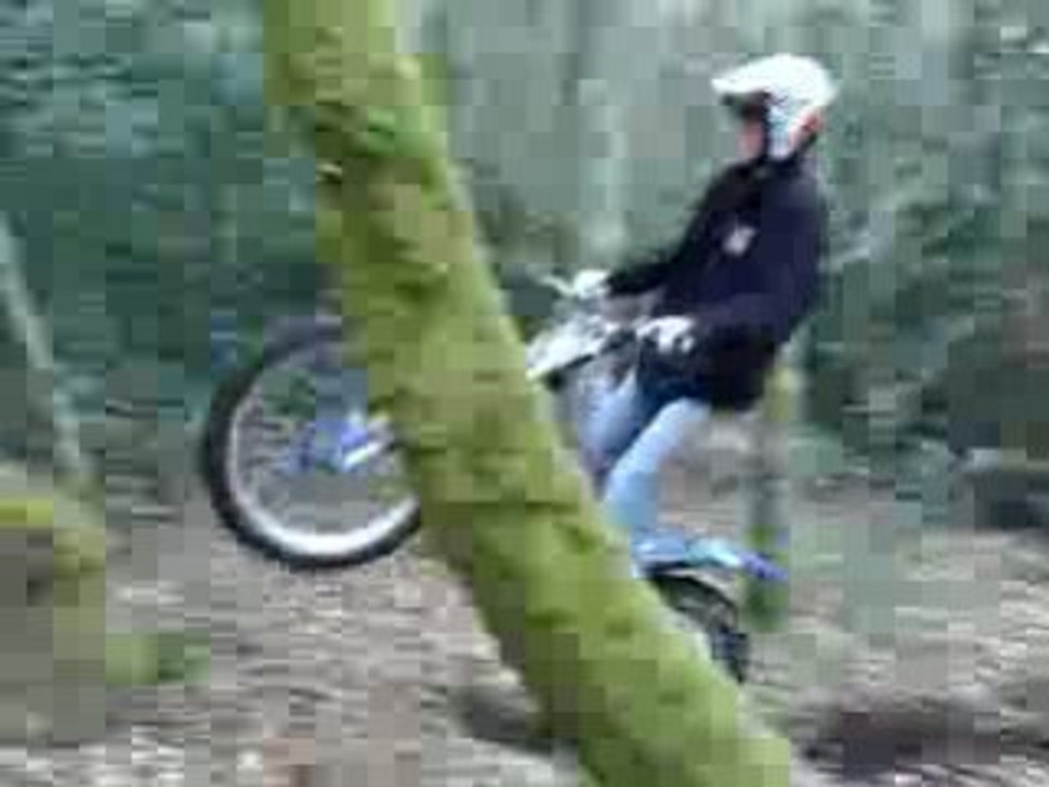 session trial