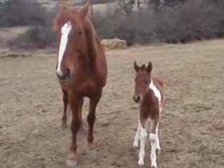 mes premiers pas en public !!