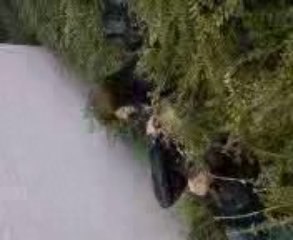 Sow` &é Sabrina &é Laly &é Stouu