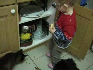 Manon , Decybel et Gingko