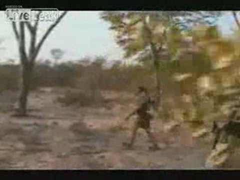 Chasseurs (assassins) VS Lion