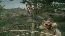 LEO SAYER & THE MUPPETS - WHEN I NEED YOU
