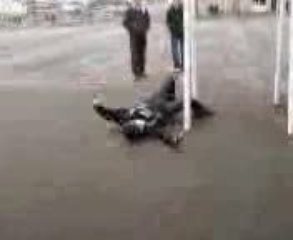 The Zed Episode 1 . Partie 2