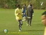 FC Nantes - GF38 : Les canaris digèrent !