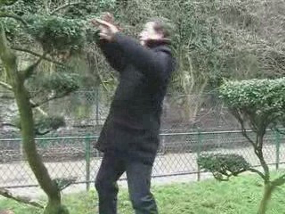 Le Boycotte de la St Valentin