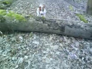 LunA entrainement au saut :)