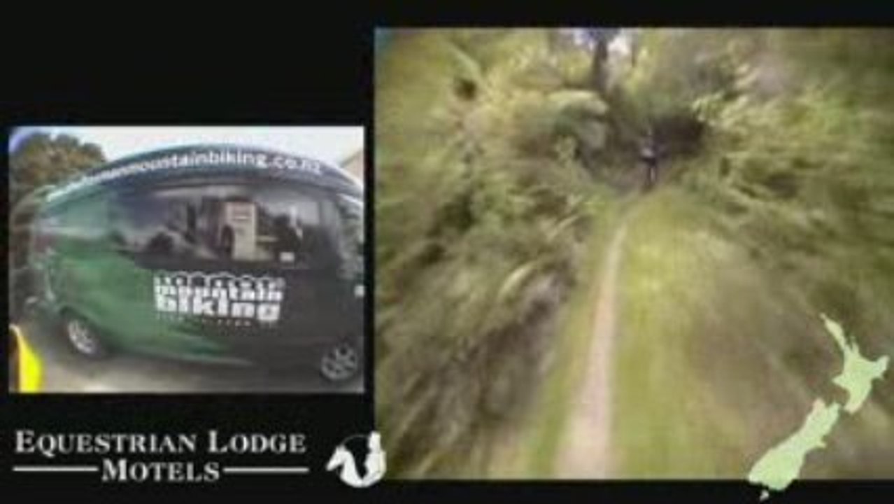 Accommodation Nelson New Zealand Equestrian Lodge