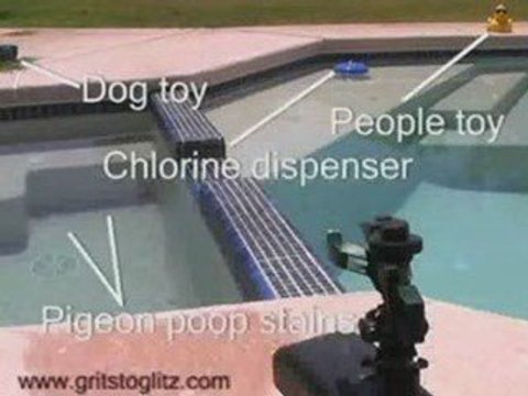 Goose Control, How To Remove Geese from lake or pond