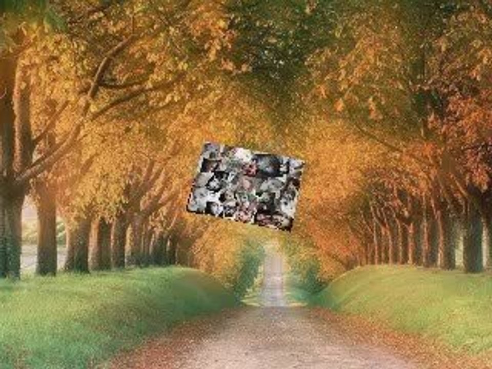 Francis Bernier   Milliards de voix