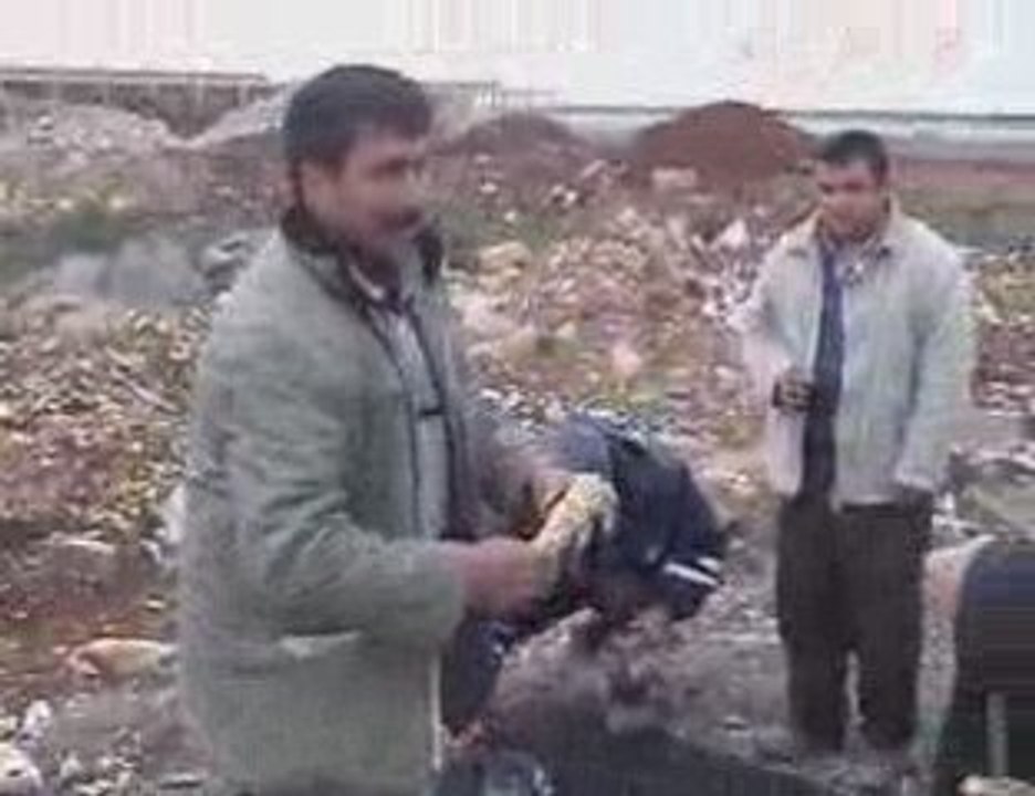 Ekmek
