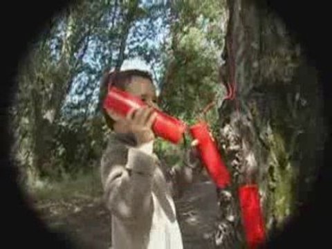 Dans tous les sens - Vice & Versa