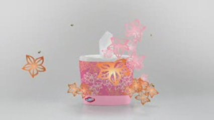 Clorox Fashionably Clean