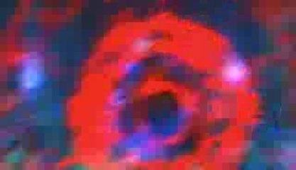 Track 010 - Horse Rider to Hell