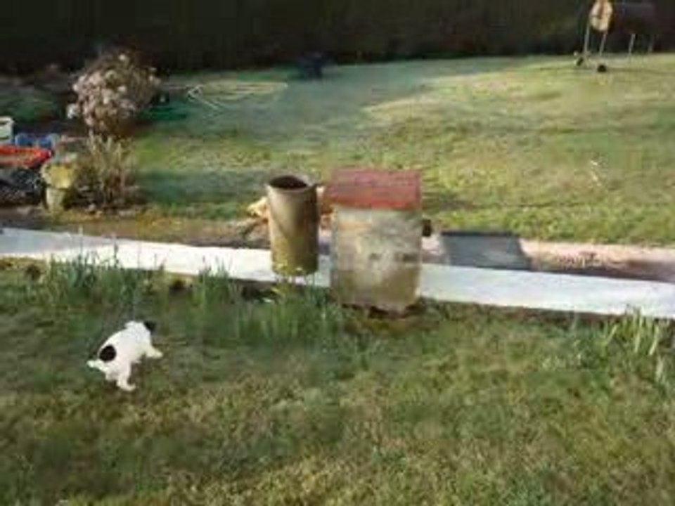 dima roco chacun sa buche !