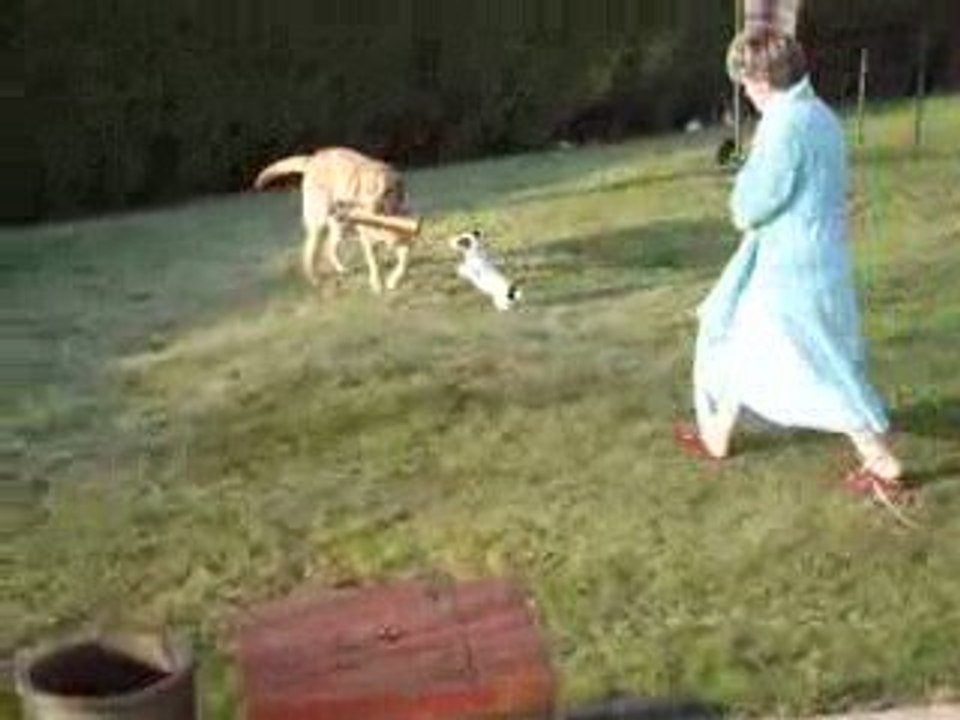 dima roco chacun sa buche ! 2