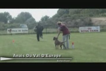 Anais du Val d'Europe, sélection