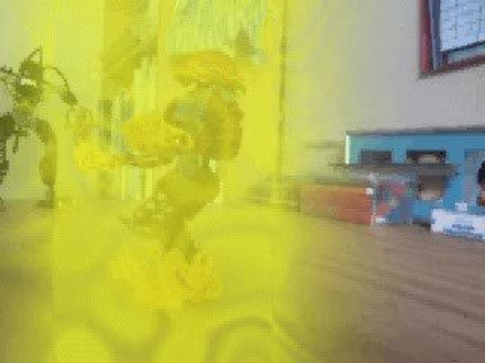Bionicle battle 5