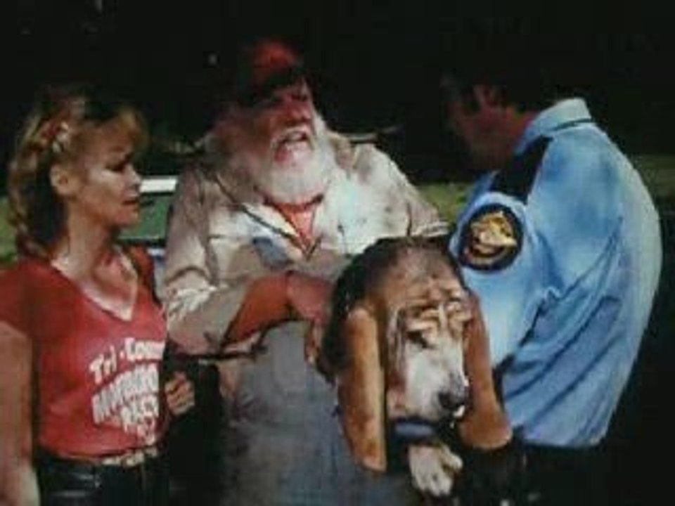 Sherif fais moi peur/The Dukes of Hazzard