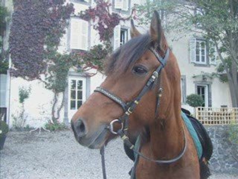 1- Galopin de Bucy ♥