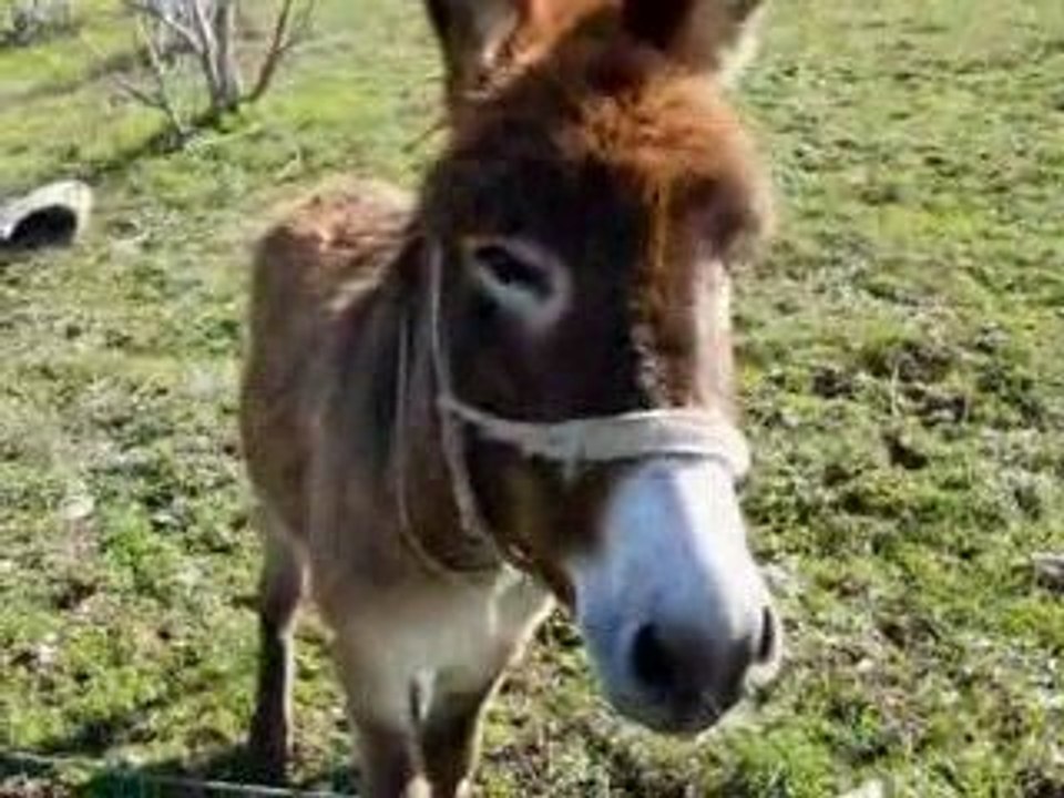Hotel California Kabyle - Oulahlou (village de Kantila)