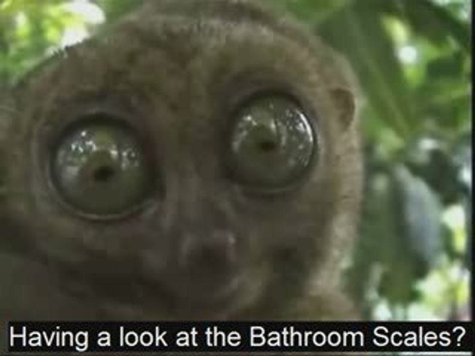 Acai Edge - Acai Berry Edge Review