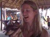 Cabarete at the beach - 10-day Viscape video blog tour of...