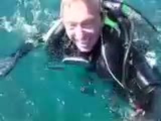 Meet the Great White Shark Day5-1