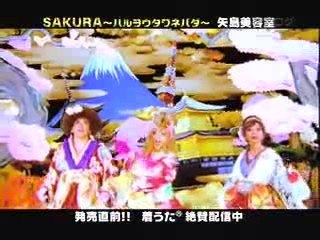 矢島美容室 SAKURA 新作PV