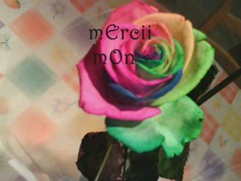 mOn hOmmE & mOii = (L)