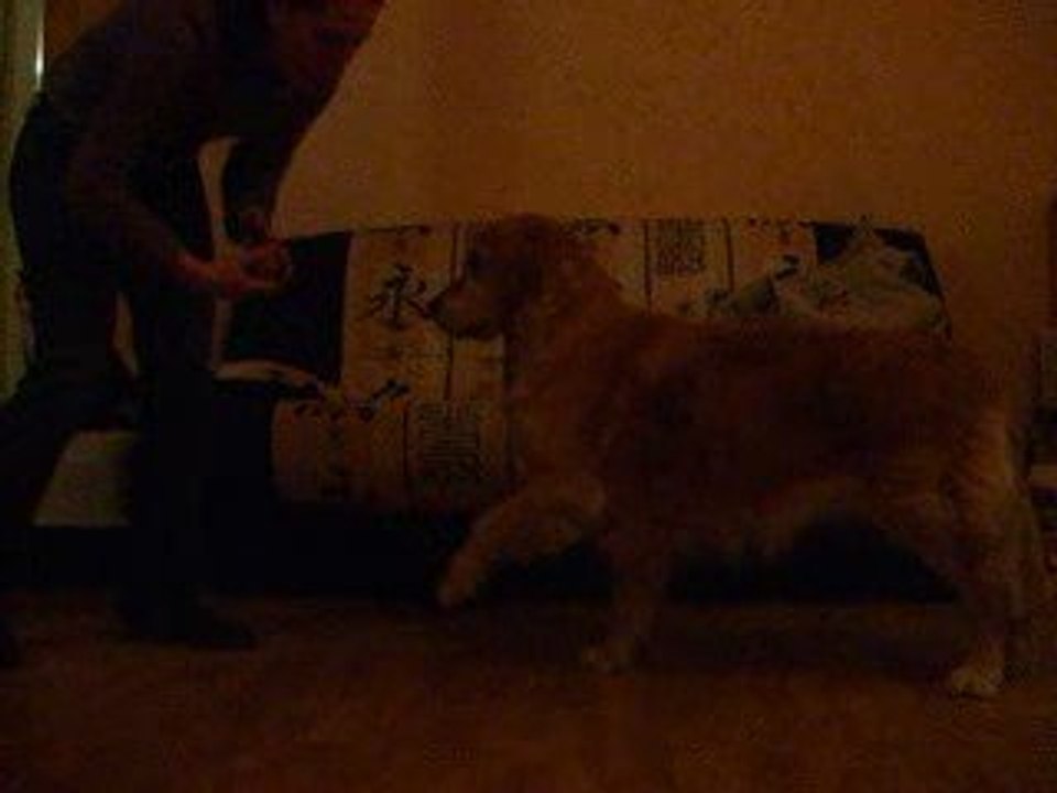 DSCF0279