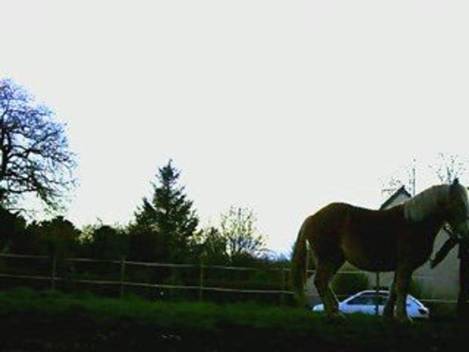 SansTitre_0007