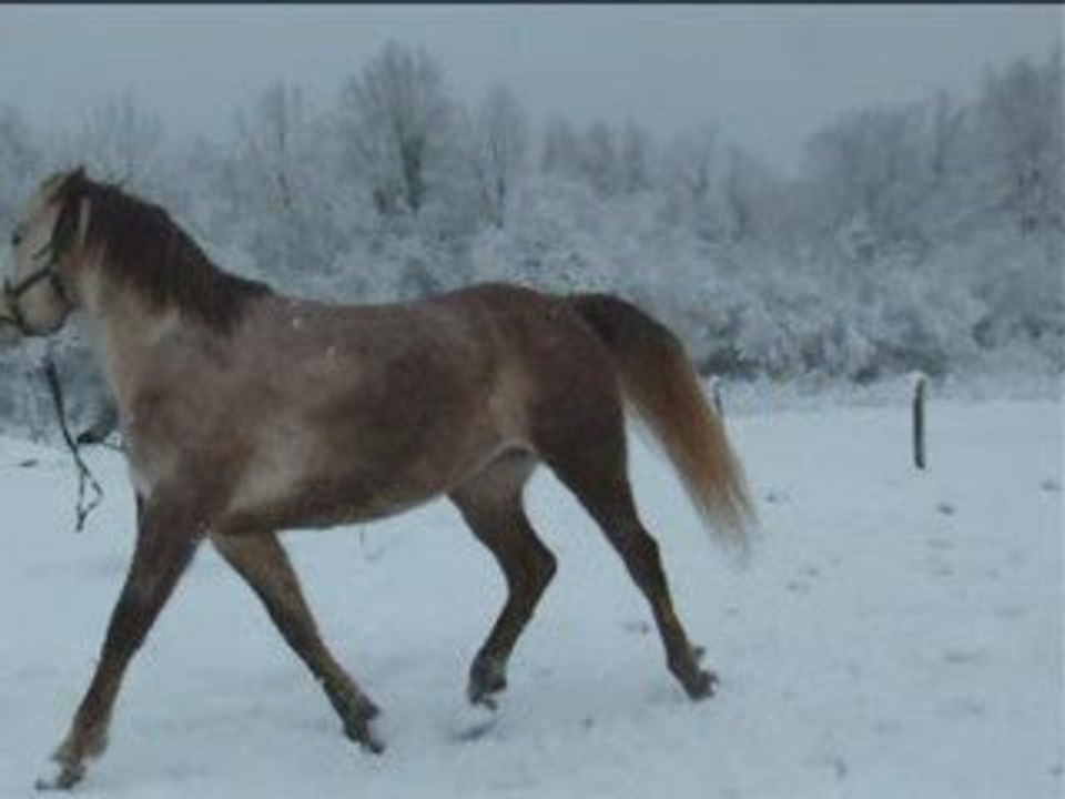 050309quiara