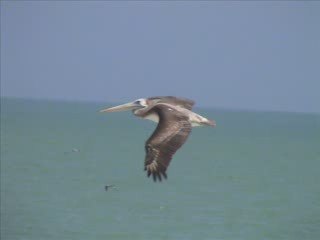 SANTUARIO REGIONAL SAN PEDRO DE VICE - EDUVIDA-PIURA