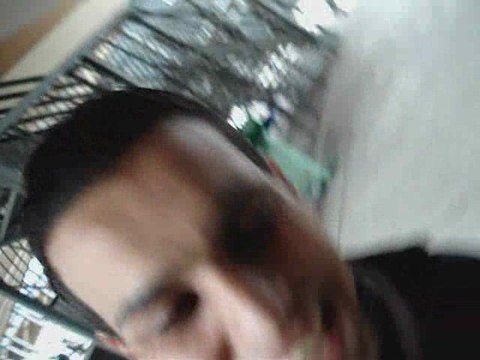 Palmier geant a jussieu