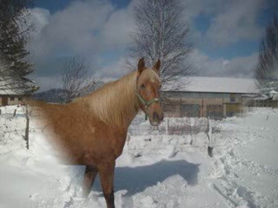 22 mars 2008