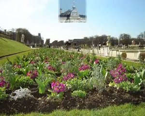 Arrivé du printemps au jardin du Luxembourg