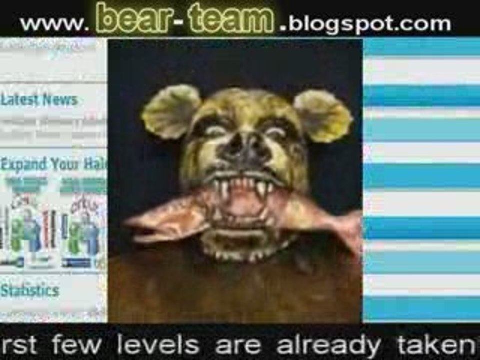 Make Money with Bear Marketing system & Brian Bear
