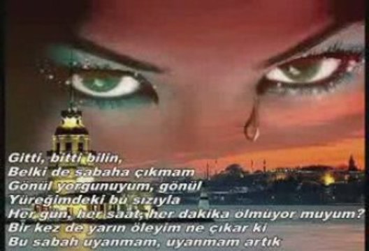 Hüzzamlı Geceler Şiir : Ünal TÜRKOĞLU Yorum : Niyazi Bilgin