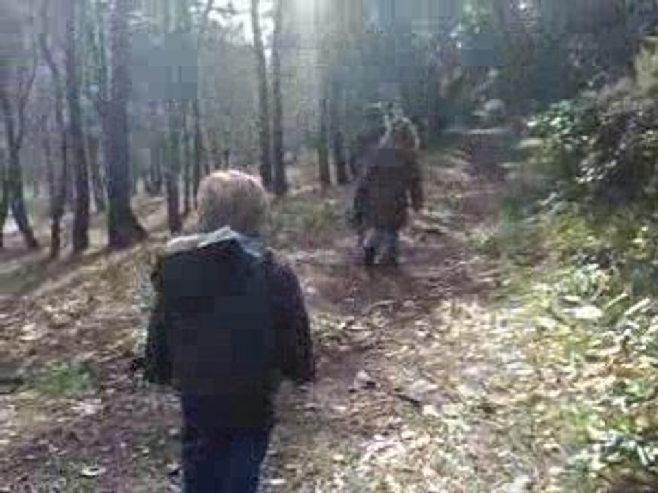 Promn'ons nous dans les bois !!!