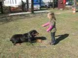 Manon 4 ans  et son Rott au dressage