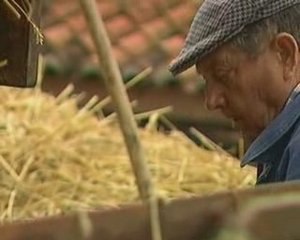 CAMILLE et les souvenirs d'antan
