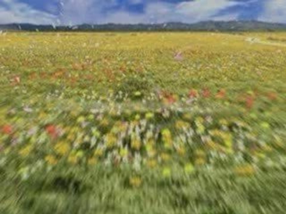 AMV Final Fantasy VIII - Last Word