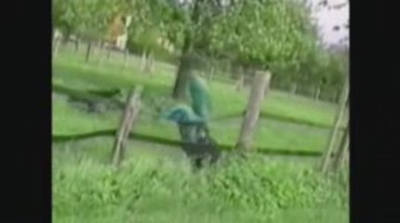 Aie Part 10