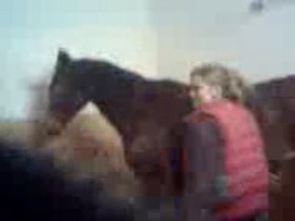 Video019