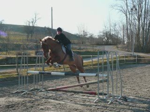 Ecurie du Rocmet Cso 28 fév