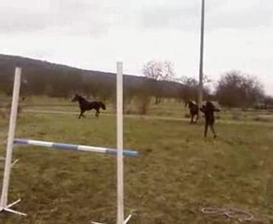 Neslée Playmate en liberté 04/03/09